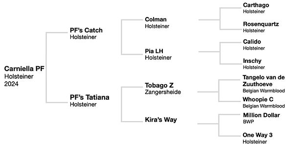 Carniella_pedigree_edited.jpg