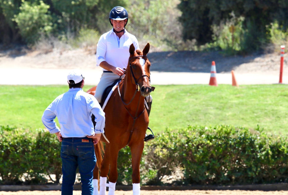 Ryan Pedigo Sport Horses