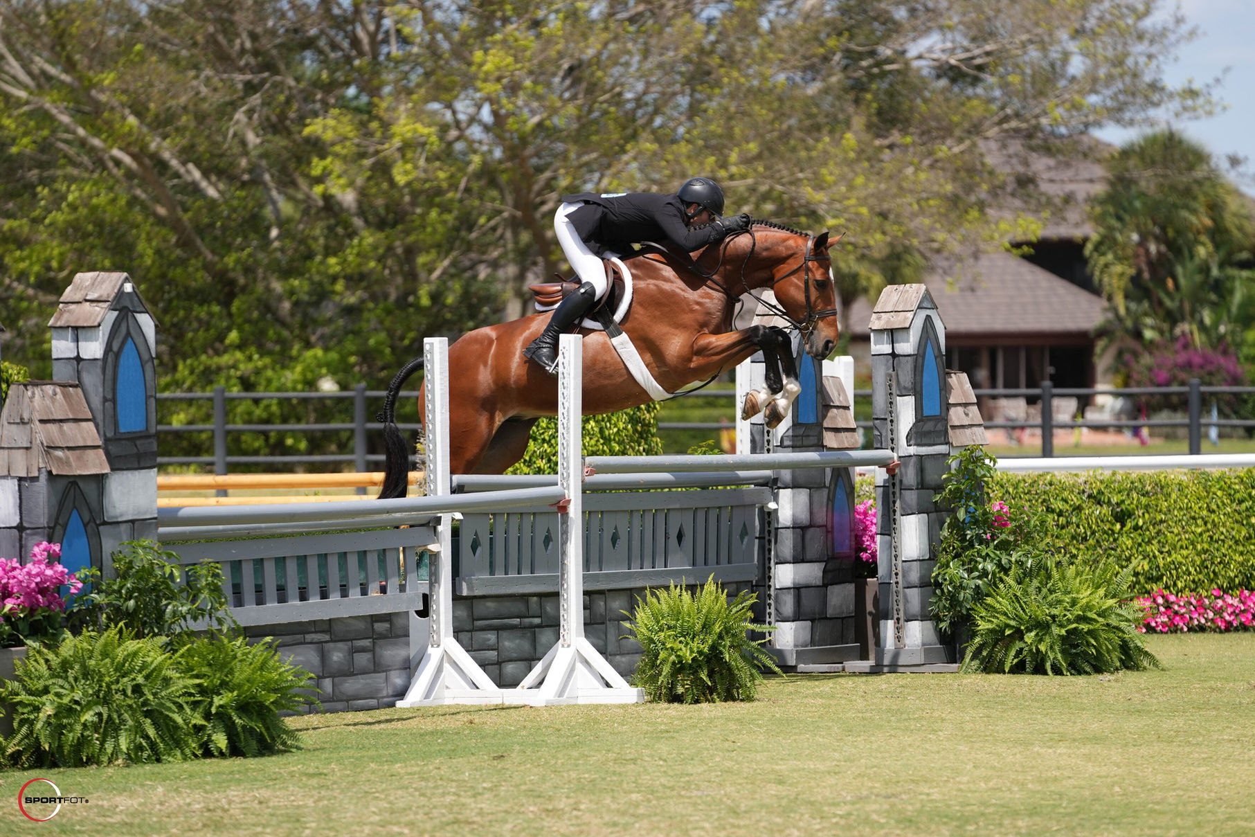Ryan Pedigo Sport Horse Champions