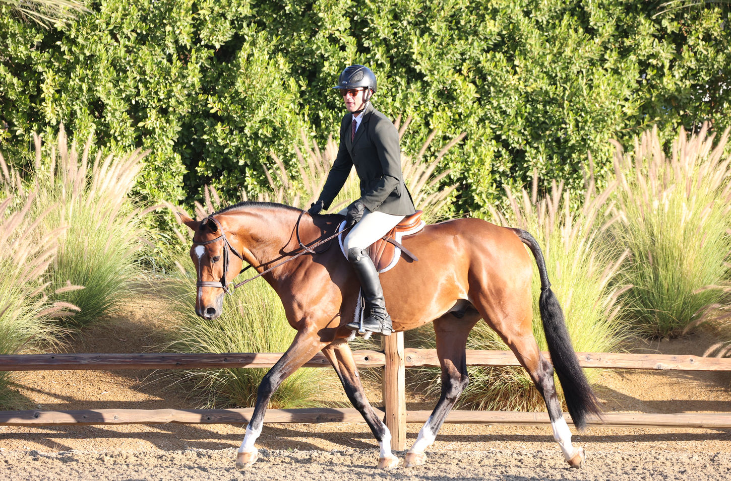 PF's Galant du Mesnil