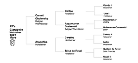 Clarabelle Pedigree RPF
