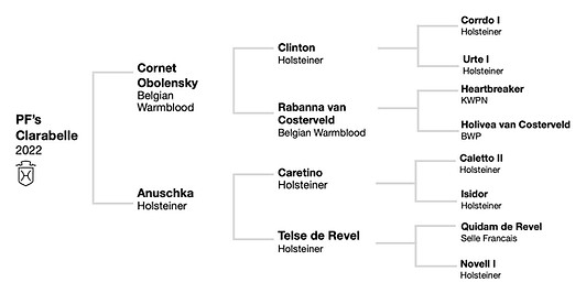 Clarabelle_Pedigree.jpg