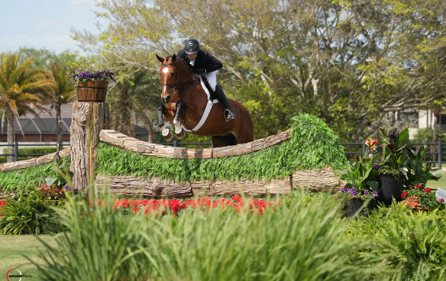 Ryan Pedigo Sport Horse Champions