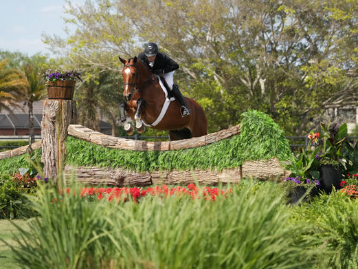 Ryan Pedigo Sport Horses