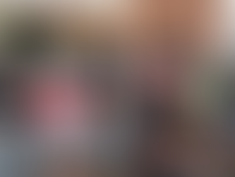 WALPE observes PVO Amendment Bill hearings