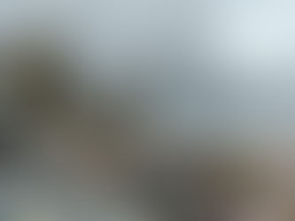 STATEMENT ON POMONA WASTE TO ENERGY PROJECT (POMONAGATE SCANDAL