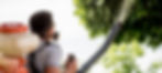 Person spraying tree with treatment