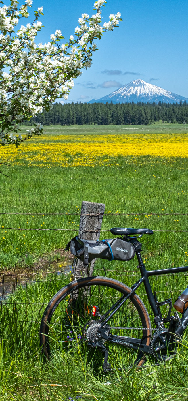 20230531-_DSF3696-HPMeadow.jpg