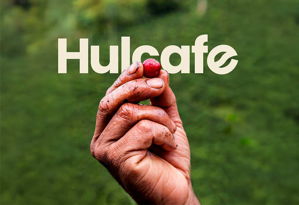 Mano sosteniendo un grano de café como parte de la identidad visual de Hulcafé.