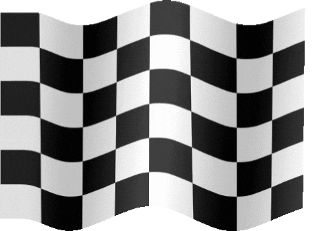 CHeckered Flag.gif
