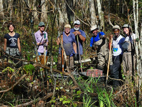 2022 Iris and Cypress Tree Planting at Lockport, La. Boardwalk is Completed by LICI