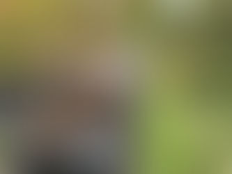 Winter 2022-2023 Tree Planting Project at the Bayou Sauvage Refuge is Completed