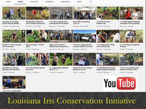 LICI creates a YouTube channel