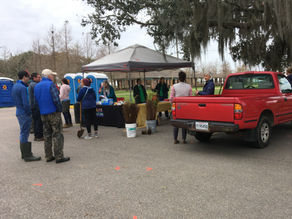 LICI Organizes Cypress Tree Planting at Fontainebleau State Park