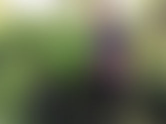 LICI Opens the Fall/Winter Season With its First Iris Planting