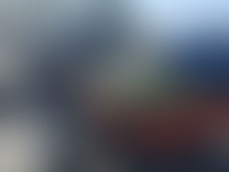 LICI iris planting in the Bayou Sauvage National Wildlife Refuge.