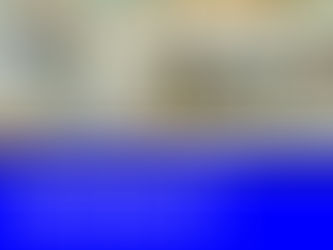 History of Iris Conservation in the New Orleans Area