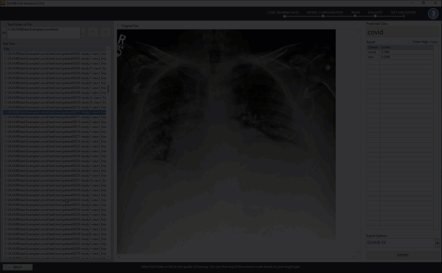 DLHUB Model Testing 