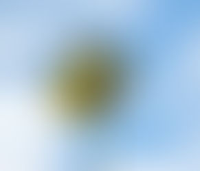 Yemima Mizrachi – p’ noach with Multilingual Subtitles