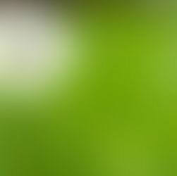 אלרגיה?חולשה?שיעול טורדני? | “שם-ן טוב רפואה טבעית”