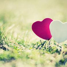 אהבה זה כל הסיפור | דפנה עבדי