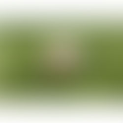 אפרת ברזל – התבוננות