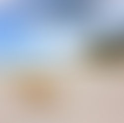 להגיע לחוף מבטחים | ריקי לוי