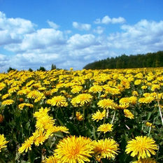 הר’ חדווה לוריא | התחדשות הנפש – 2
