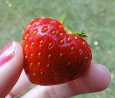 ימימה מזרחי – פרשת וישב