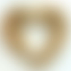 לאהוב ולשחרר | רחל וינשטיין