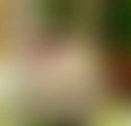 מדריך לתקופת מחלה/פרק ג’-עדנה קדוש