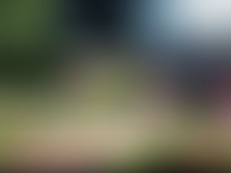 Der besondere Seminarplatz!