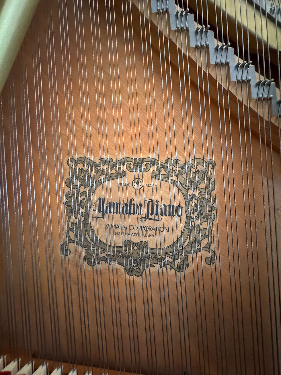 Thumbnail: Yamaha GC1 Baby Grand Piano in Polished White