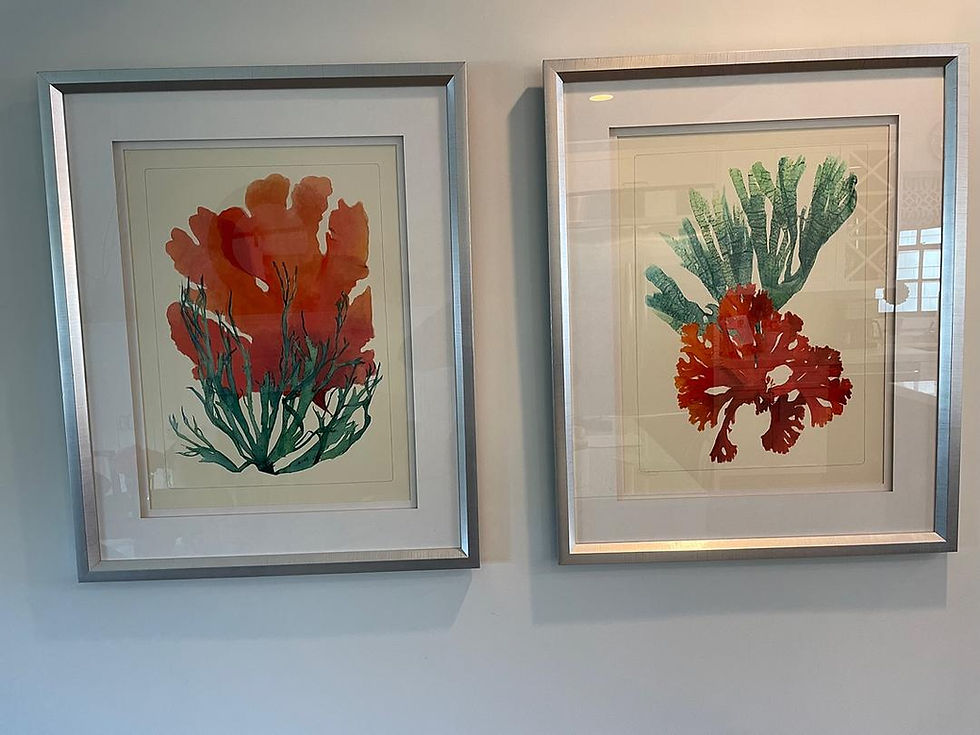 Thumbnail: Natural Curiosities Framed Watercolor Wall Art