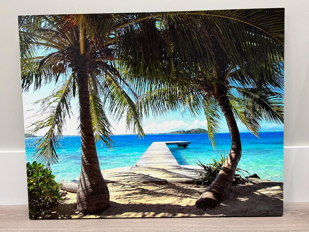 Palm Tree Canvas