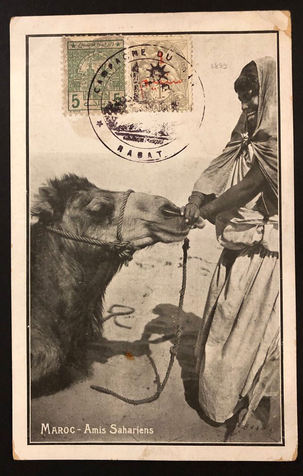 Postes Chérifiennes N° 11 s/carte postale