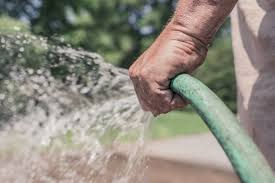Help Water Trees