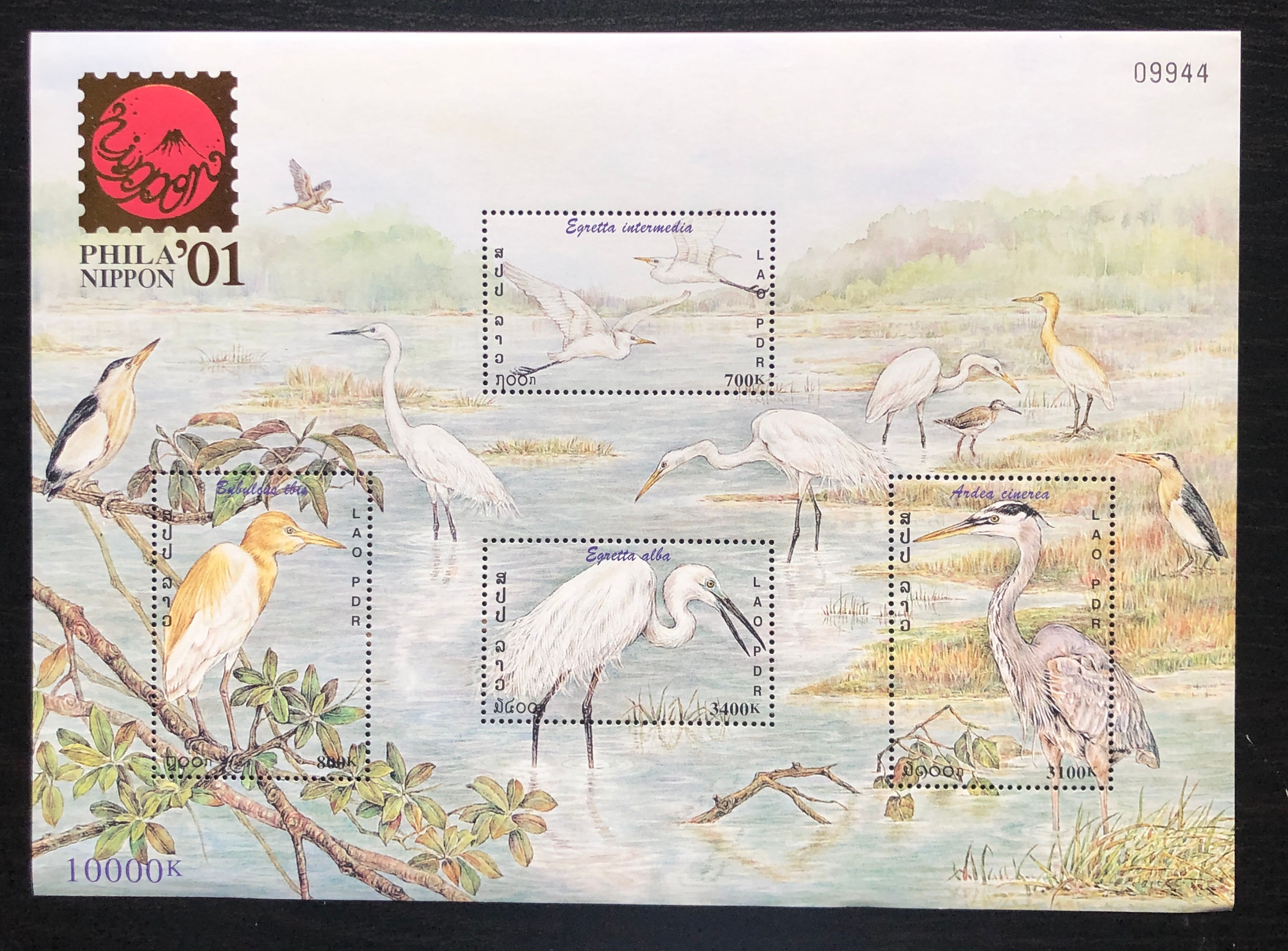 OISEAUX Aigrette