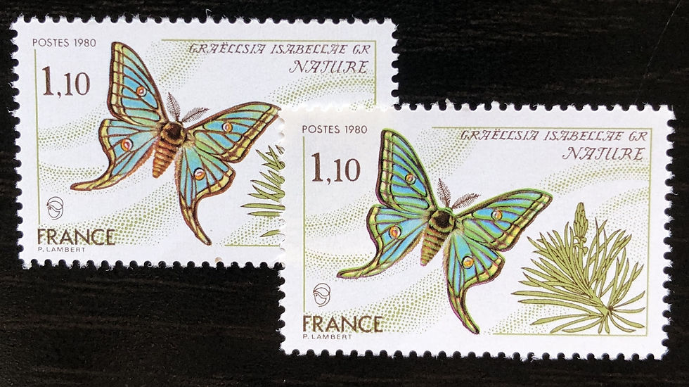 N° 2089 corps du papillon noir au lieu de brun