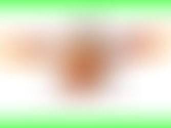5 Cara Ampuh Mengusir Kecoa Terbang di Rumah