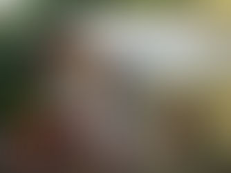 Waspada! Bed Bugs Mengganggu Staycation mu di Villa