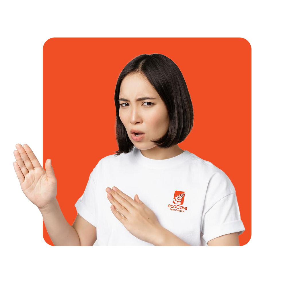 AAA 1