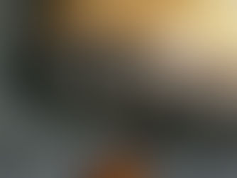 Kenapa Kecoa Tidak Boleh Diinjak? Yuk Kita Bahas!