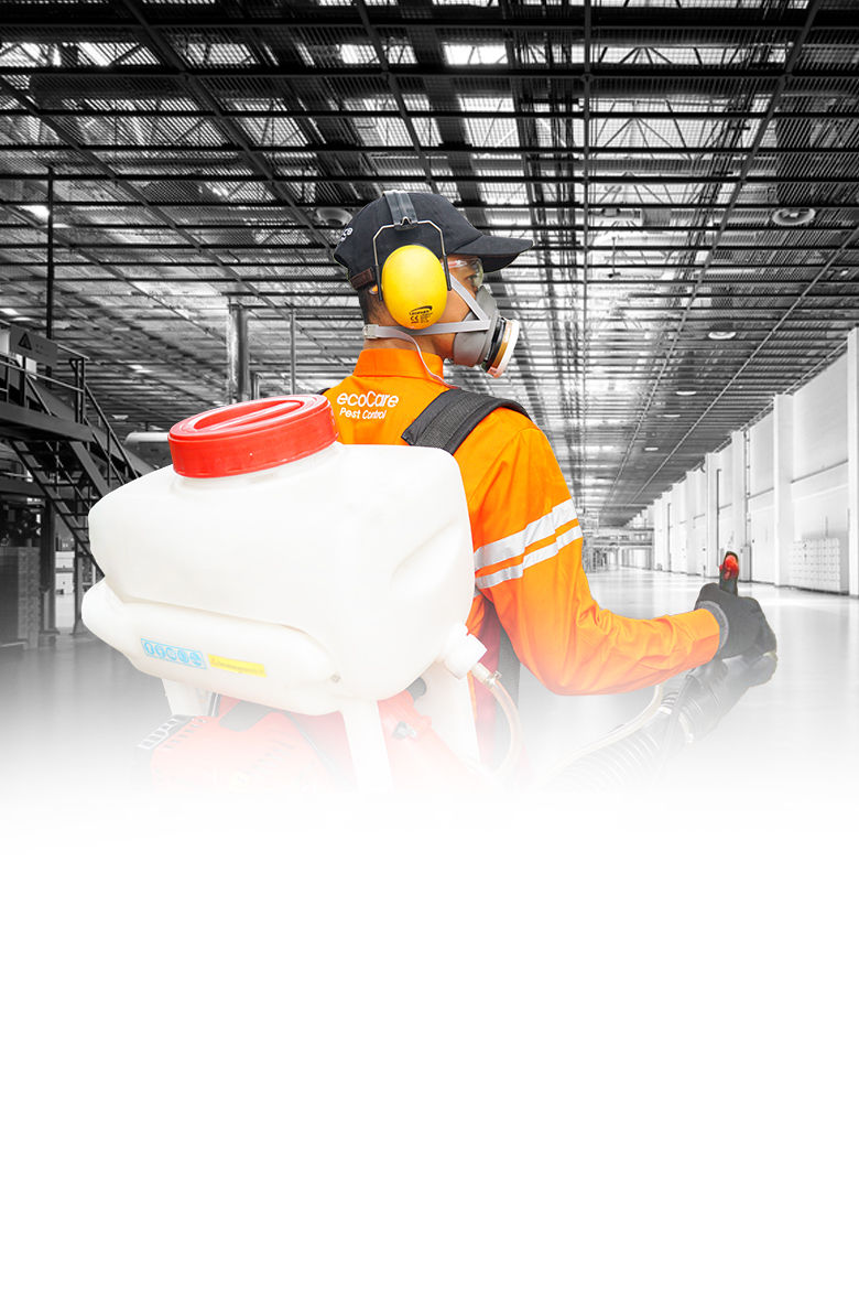 BG1-INDUSTRIAL-MOBILE 1