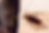 Untitled.png