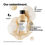 थंबनेल: L'Oréal Professionnel Absolut Repair Shampoo for Dry & Damaged Hair - 300ml |
