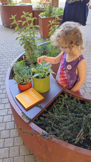 Informal learning environment and children's interactive garden "Noah's Outdoor Explorers" designed by ETCxDesign, Los Angeles