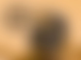 For us riders, motorcycling is passion and practicality — Bikers World delivers both seamlessly.