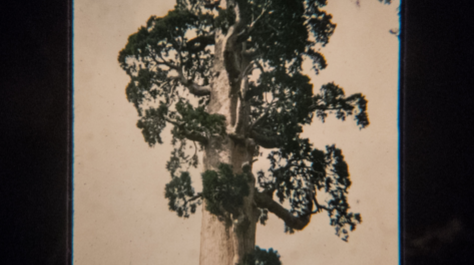 Keep an Eye on Clayjay & TOBi