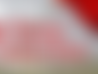 Ron Reeser x Ducka Shan x Wild Fox